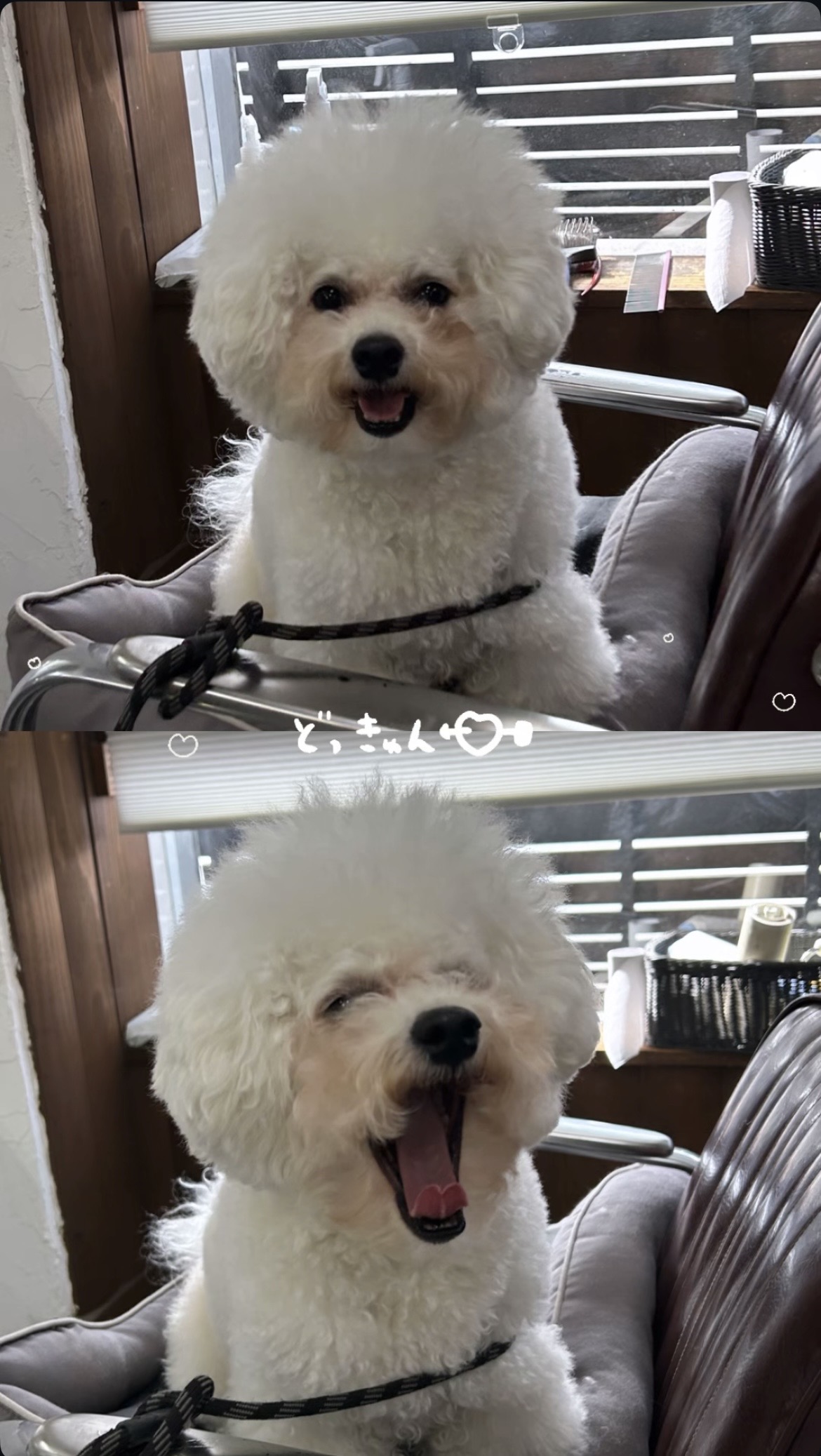 ※３月の定休日※